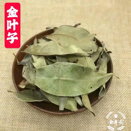金叶子的功效与作用-金叶子的图片样子