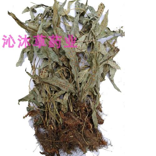 金星草的功效与作用-金星草的图片样子