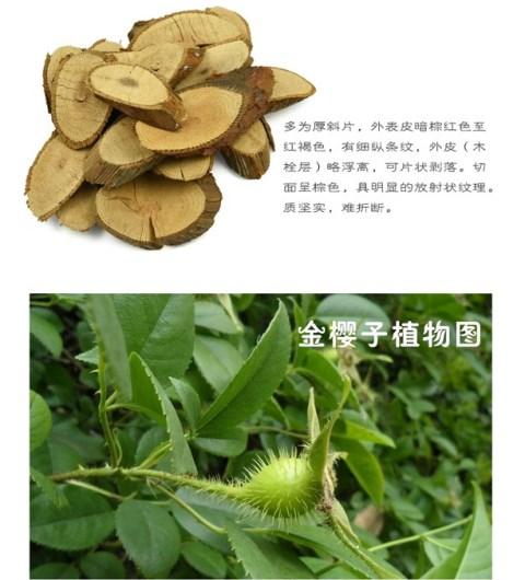 金樱根的功效与作用-金樱根的图片样子