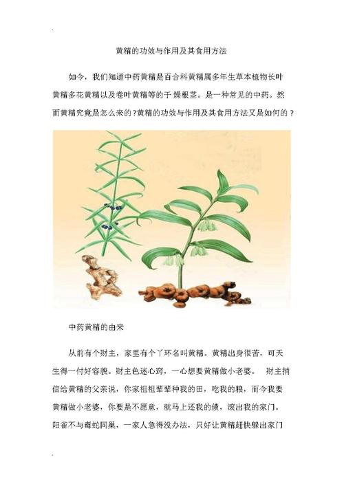金金棒的功效与作用-金金棒的图片样子