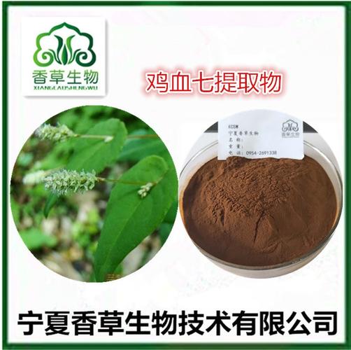 鸡血七的功效与作用-鸡血七的图片样子