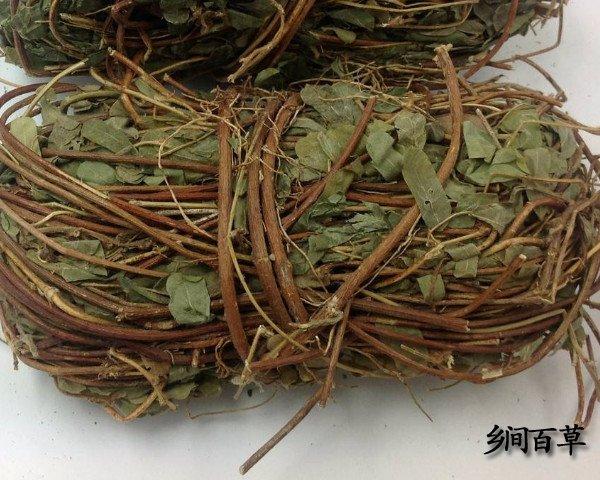 鸡谷草的功效与作用-鸡谷草的图片样子