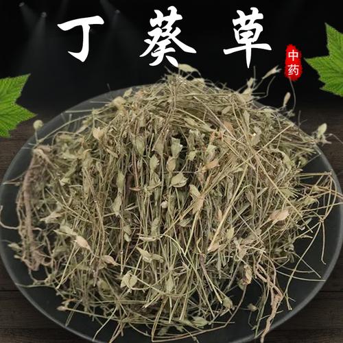 丁癸草的功效与作用-丁癸草的图片样子
