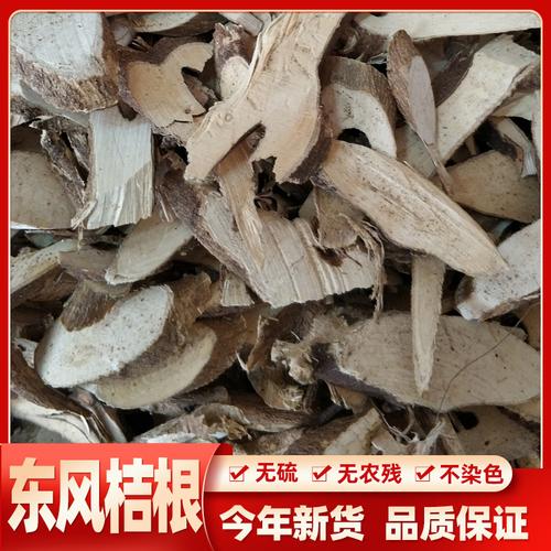 东风橘根的功效与作用-东风橘根的图片样子