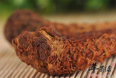 列当的功效与作用-列当的图片样子