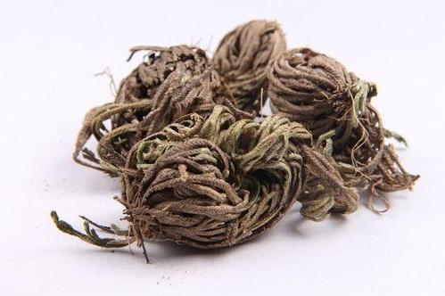 卷柏的功效与作用-卷柏的图片样子