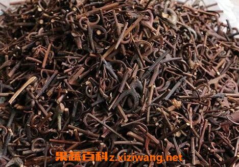 古钩藤的功效与作用-古钩藤的图片样子