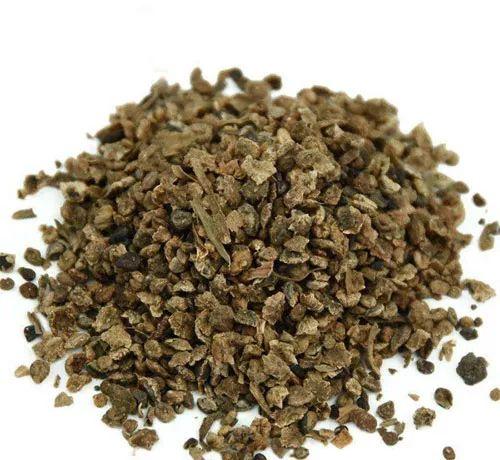 地沙的功效与作用-地沙的图片样子