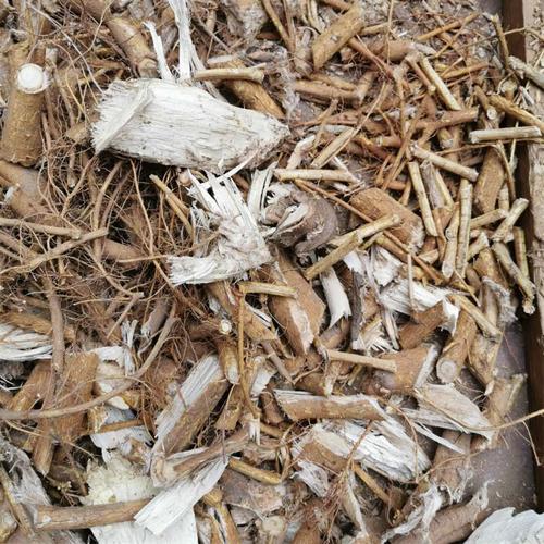 对节树根的功效与作用-对节树根的图片样子