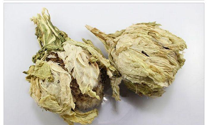 峨山雪莲花的功效与作用-峨山雪莲花的图片样子
