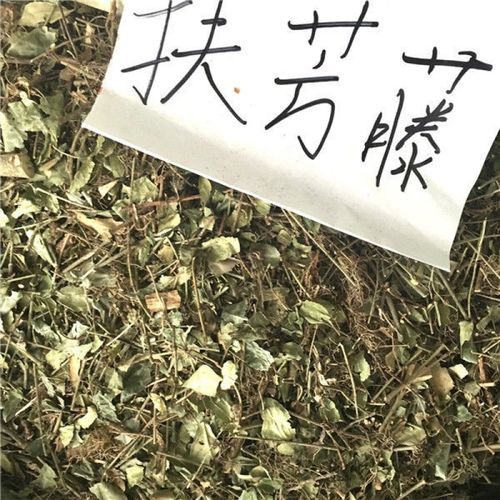 扶木皮的功效与作用-扶木皮的图片样子