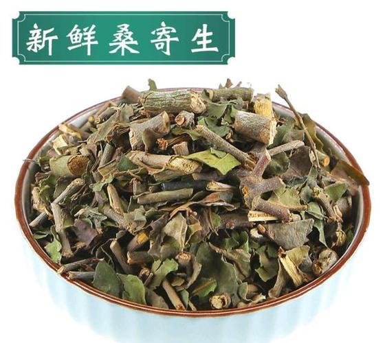 柃寄生的功效与作用-柃寄生的图片样子