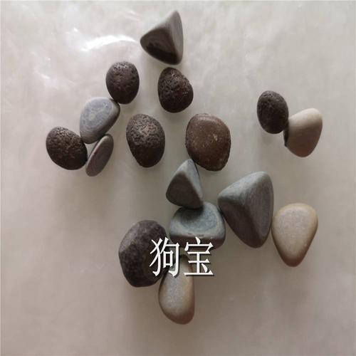 狗宝的功效与作用-狗宝的图片样子