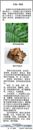 狗血的功效与作用-狗血的图片样子