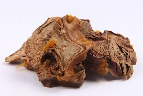 狗蹄的功效与作用-狗蹄的图片样子