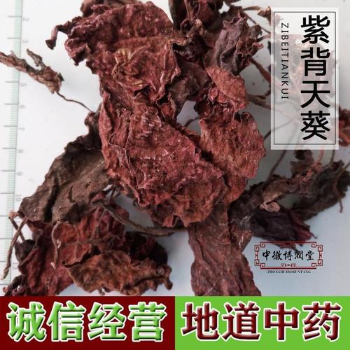 红天葵的功效与作用-红天葵的图片样子