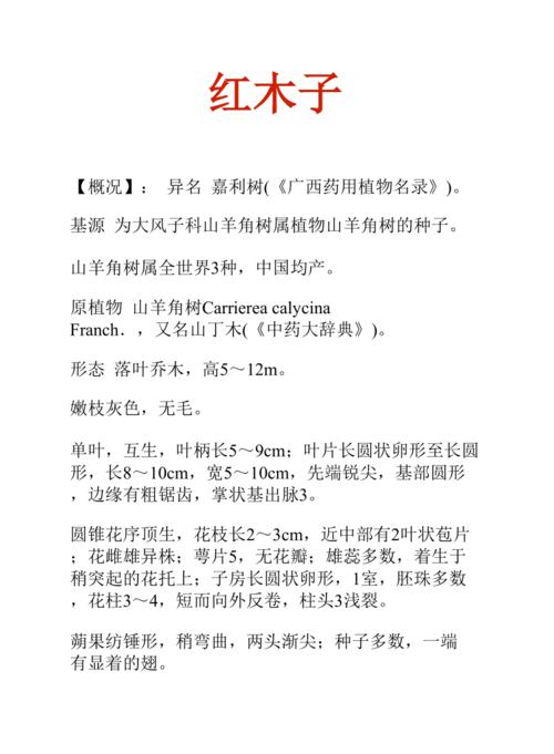 红木子的功效与作用-红木子的图片样子