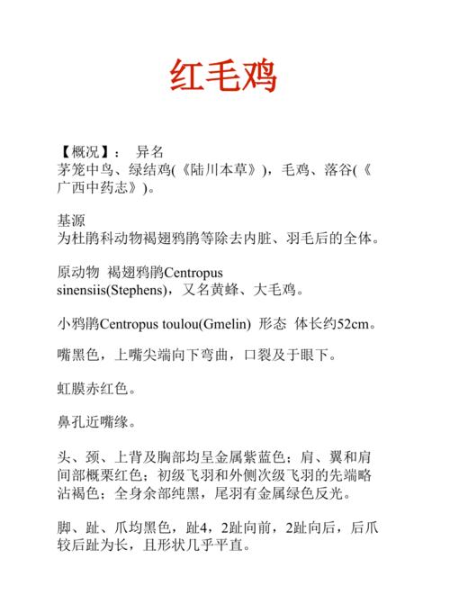 红毛鸡的功效与作用-红毛鸡的图片样子