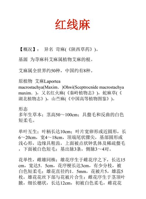 红线麻的功效与作用-红线麻的图片样子