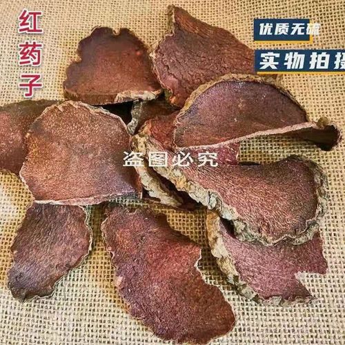 红药子的功效与作用-红药子的图片样子