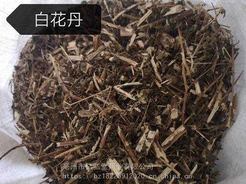 老白花的功效与作用-老白花的图片样子