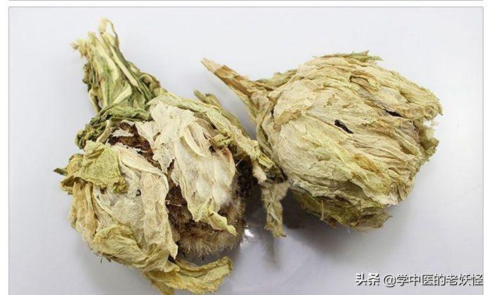 苦壶卢花的功效与作用-苦壶卢花的图片样子