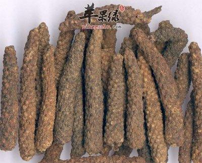 莱菔叶的功效与作用-莱菔叶的图片样子