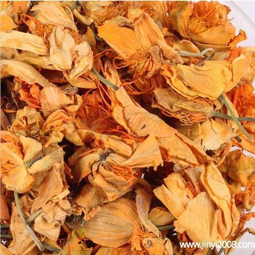 莲花的功效与作用-莲花的图片样子