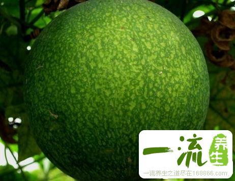 蒌油的功效与作用-蒌油的图片样子