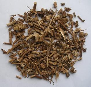 藿香的功效与作用-藿香的图片样子