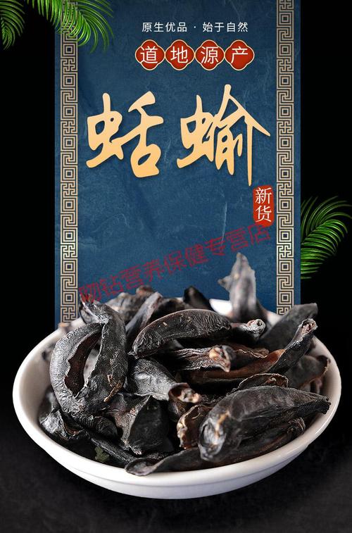 蛞蝓的功效与作用-蛞蝓的图片样子