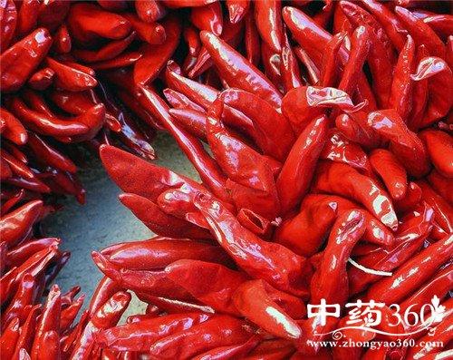 辣椒头的功效与作用-辣椒头的图片样子