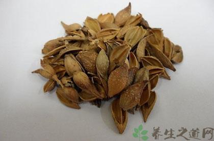 连翘的功效与作用-连翘的图片样子