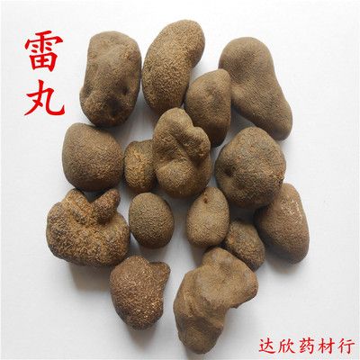 雷丸的功效与作用-雷丸的图片样子