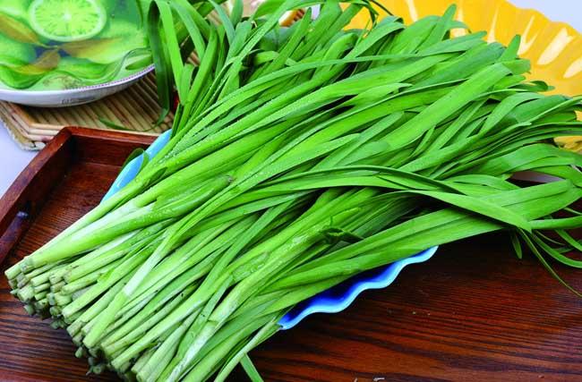 韭菜的功效与作用-韭菜的图片样子