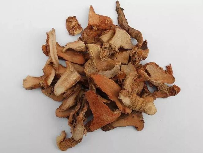 高良姜的功效与作用-高良姜的图片样子