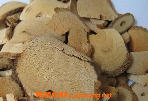 鹿梨根皮的功效与作用-鹿梨根皮的图片样子