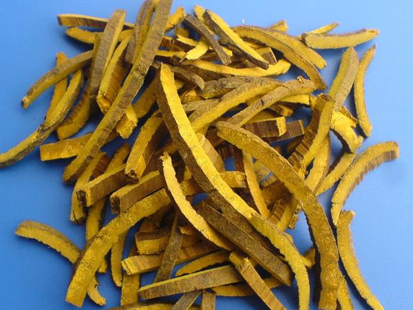 黄柏的功效与作用-黄柏的图片样子