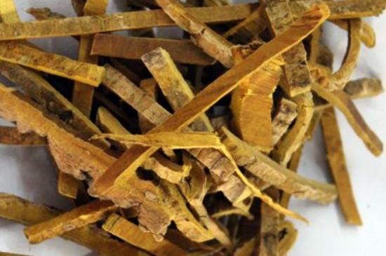 黄桷皮的功效与作用-黄桷皮的图片样子
