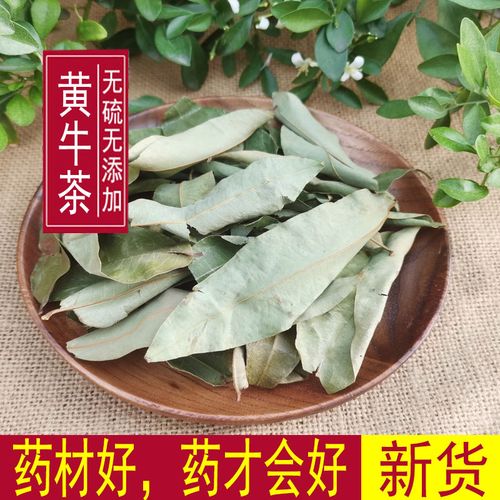 黄牛茶的功效与作用-黄牛茶的图片样子