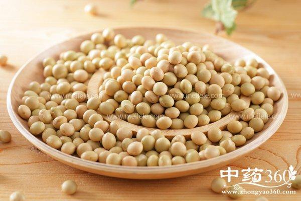 黄豆的功效与作用-黄豆的图片样子
