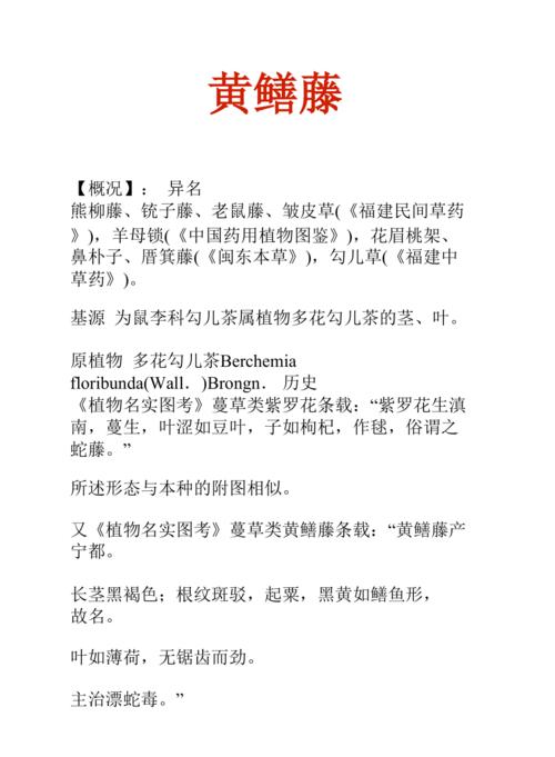 黄鳝藤根的功效与作用-黄鳝藤根的图片样子