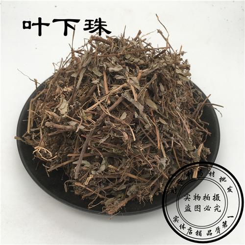 龙珠根的功效与作用-龙珠根的图片样子