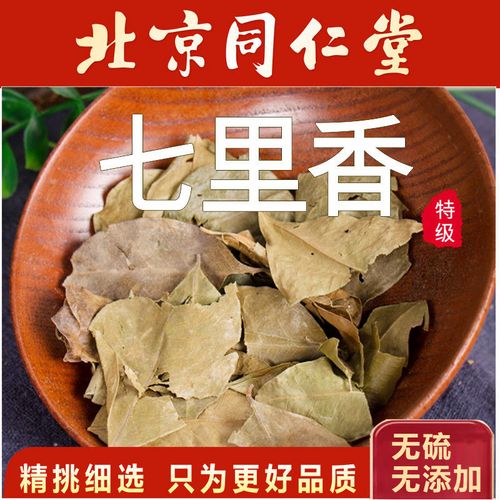 七里香的功效与作用-七里香的图片样子