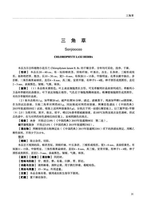 三角草的功效与作用-三角草的图片样子