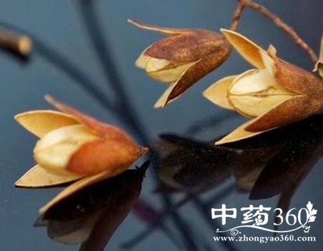三铃子的功效与作用-三铃子的图片样子