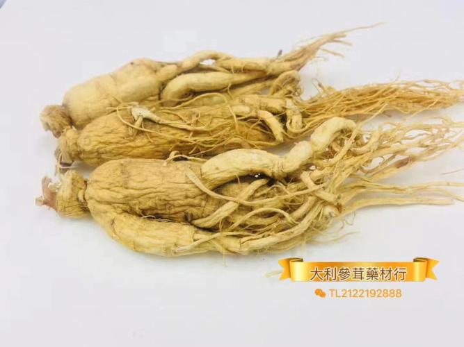 人参子的功效与作用-人参子的图片样子