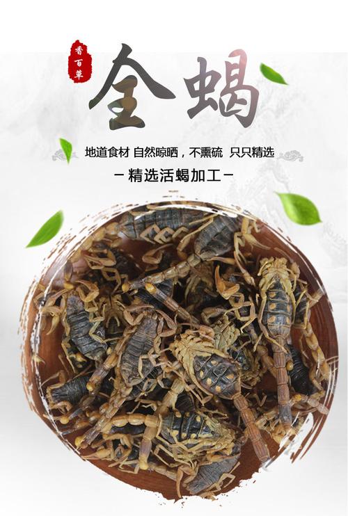 全蝎的功效与作用-全蝎的图片样子
