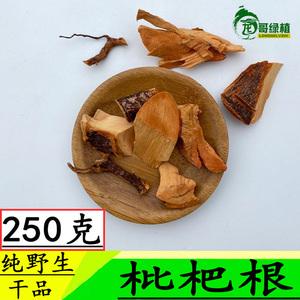 山枇杷根的功效与作用-山枇杷根的图片样子
