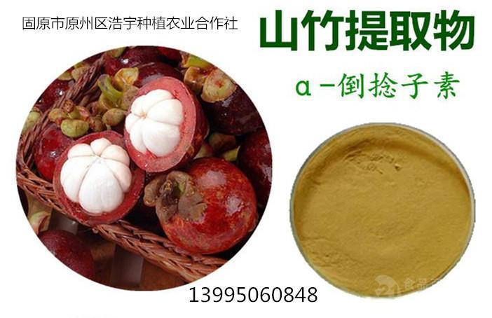 山竹子的功效与作用-山竹子的图片样子